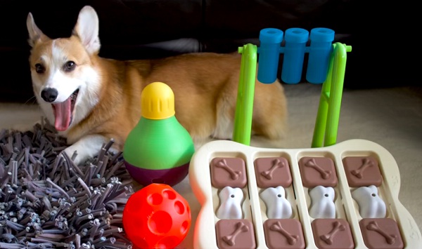 toys to keep puppies busy